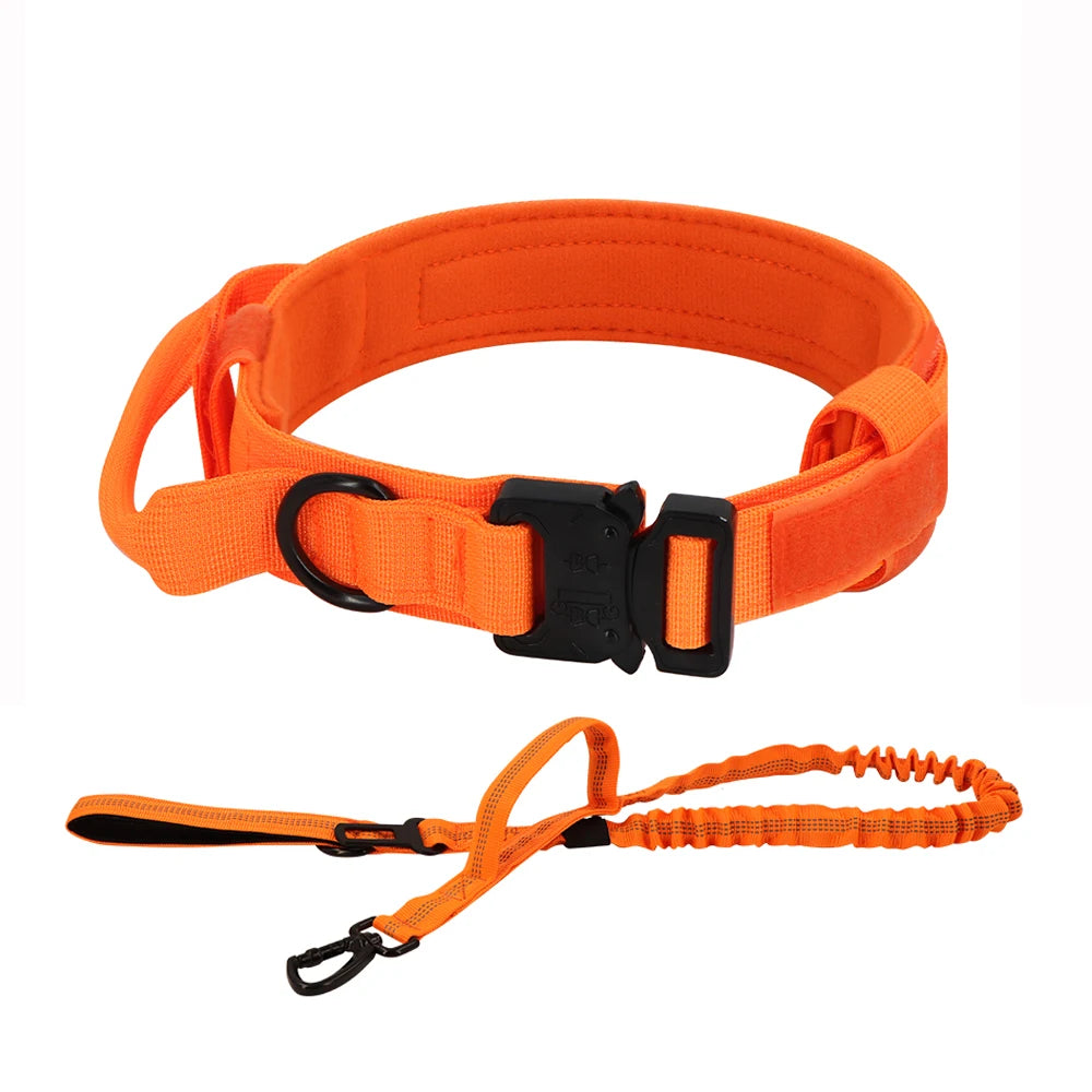 PETRAVEL CN Dog Training Collar Adjustable Tactical Leash Set