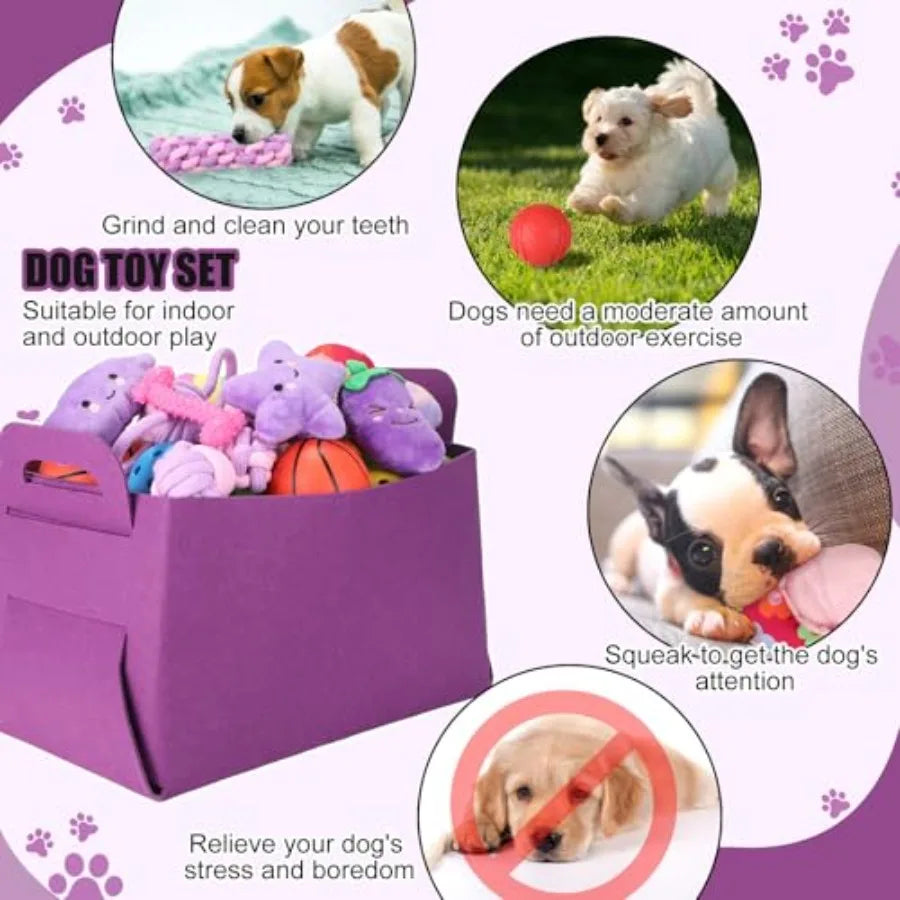 50 Pcs Puppy Supplies Starter Kit for Small Dogs Puppy Essentials Includes Leash Bowls Teeth Brushes Water Bottle and More Acce