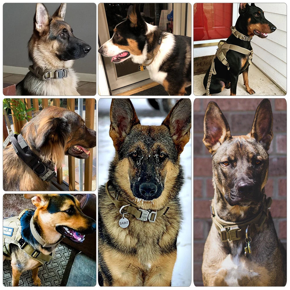 PETRAVEL CN Dog Training Collar Adjustable Tactical Leash Set