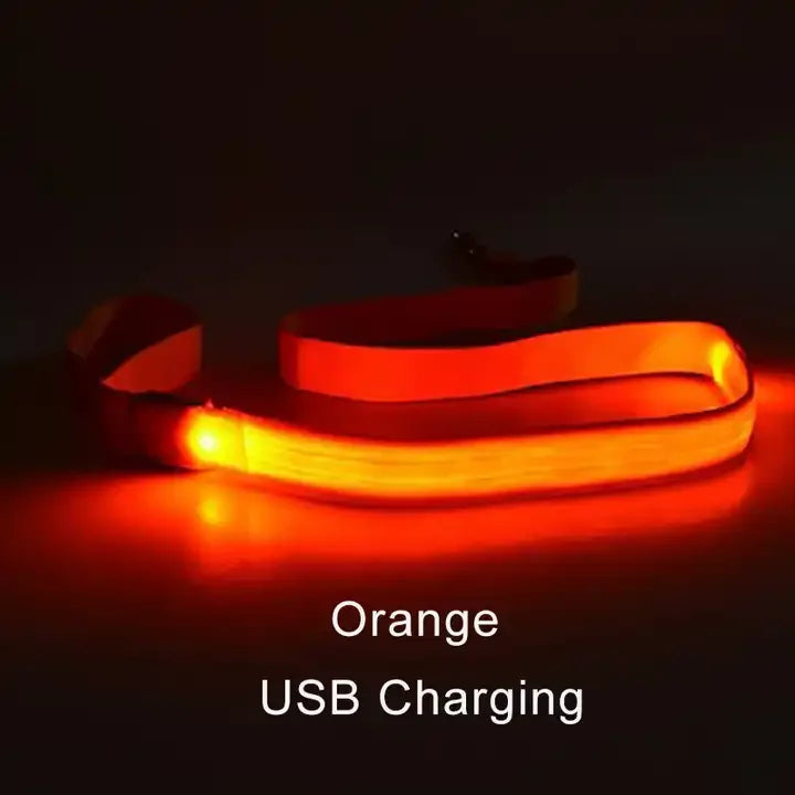 NONECN LED Light Up Dog Leash Luminous Rope For Safety