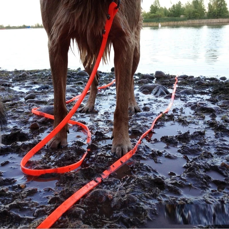 Waterproof Dog Leash PVC Rope For Easy Walking And Training