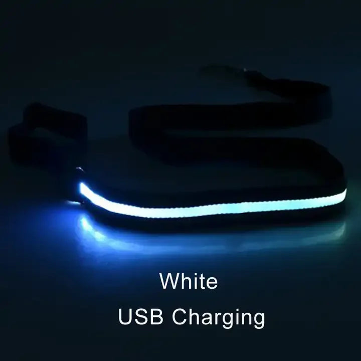 NONECN LED Light Up Dog Leash Luminous Rope For Safety