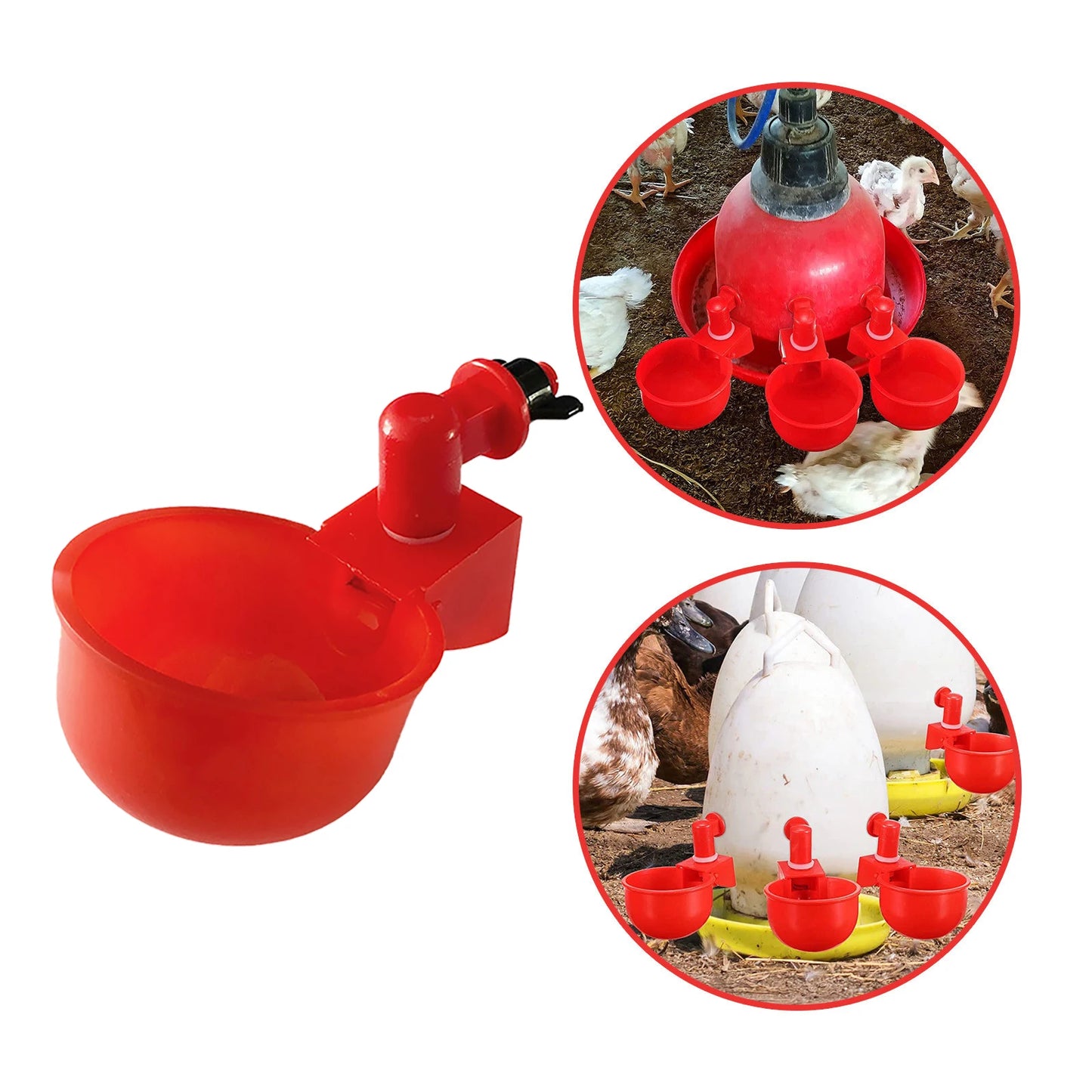 APWIKOGER Automatic Chicken Drinking Cup Waterer For Chicks Ducks Geese Quail