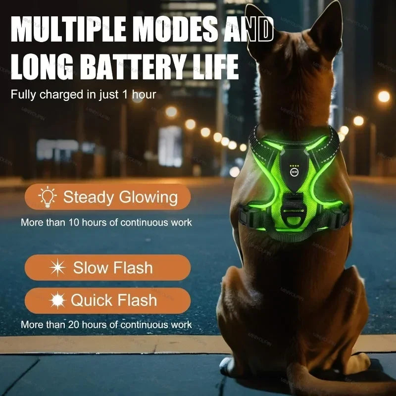NONECN Led Luminous Dog Harness No Pull Adjustable Vest