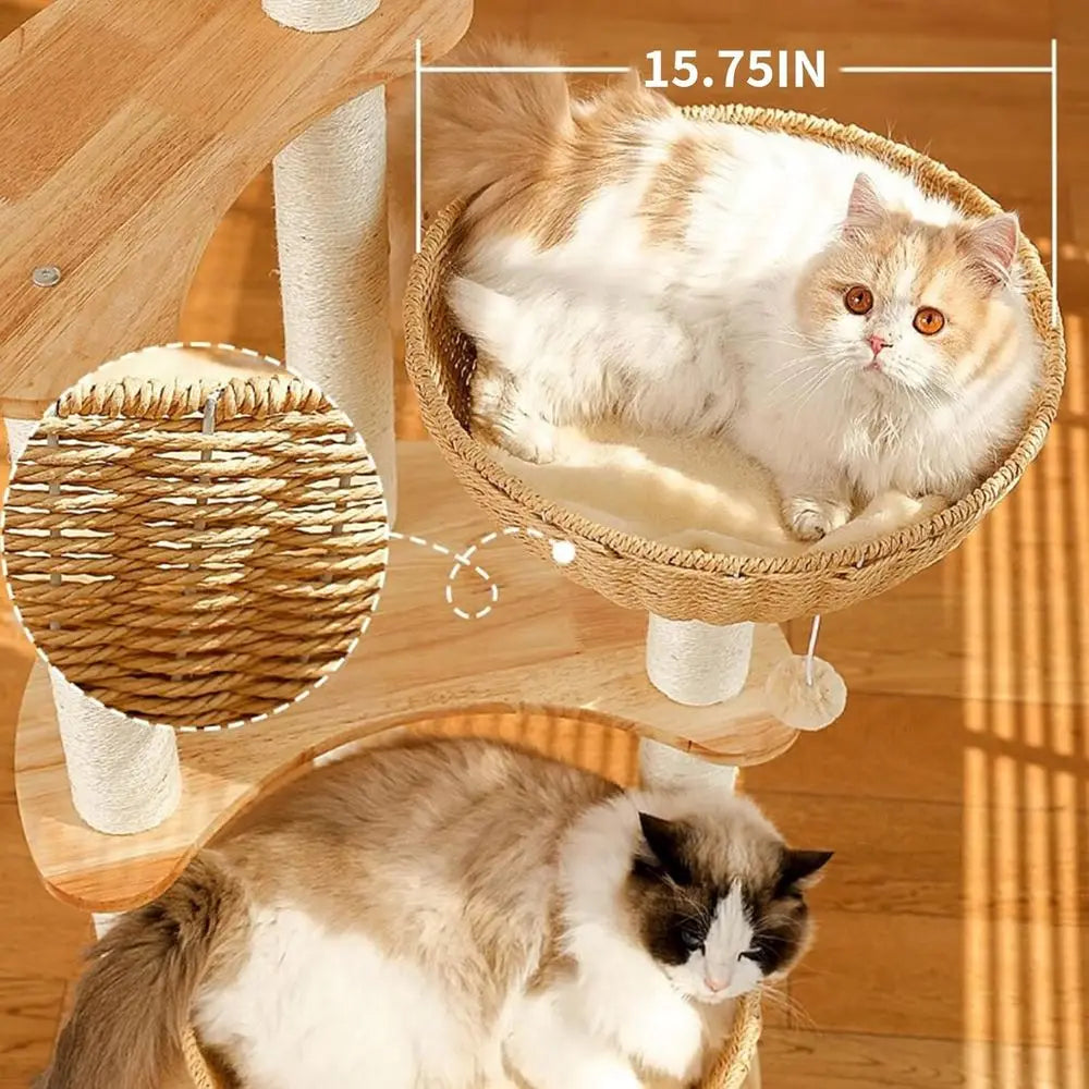 Luxury 54 Oak Cat Tree with Scratching Posts for Large Cats, Multi-Level Condo, Easy Maintenance Indoor Activity Center