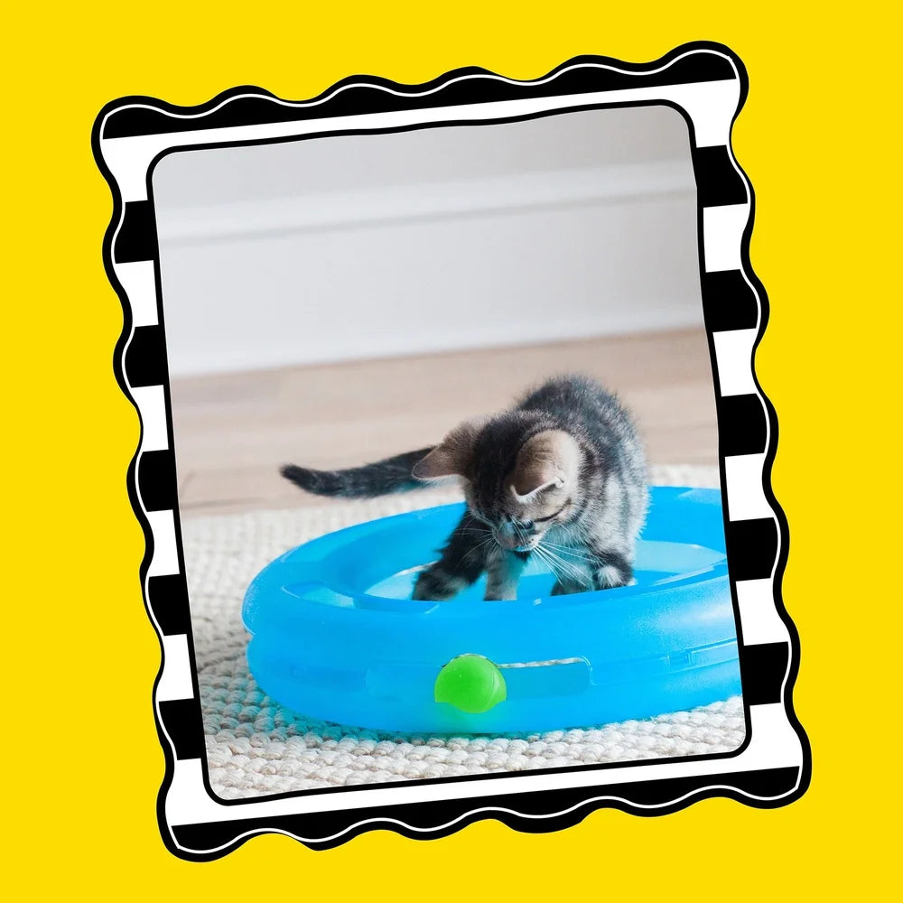 Crazy Circle Cat Toy Interactive Fun Exercise Boredom Buster Reloadable Catnip Ball Durable Lightweight Design Portable Washable