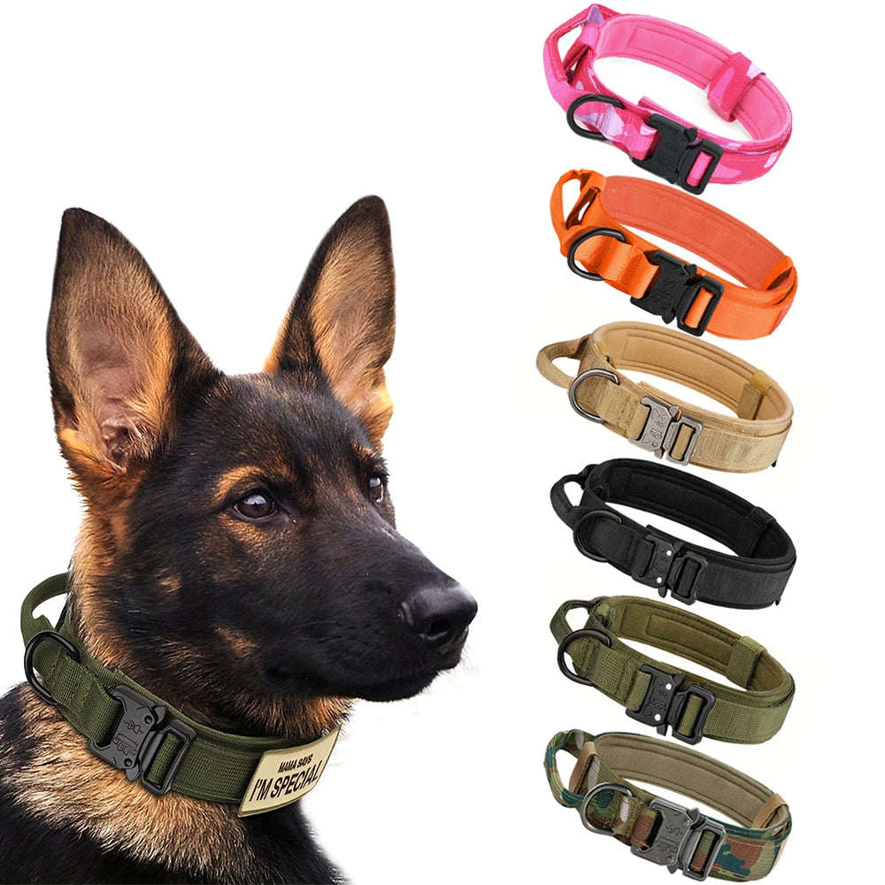PETRAVEL CN Dog Training Collar Adjustable Tactical Leash Set