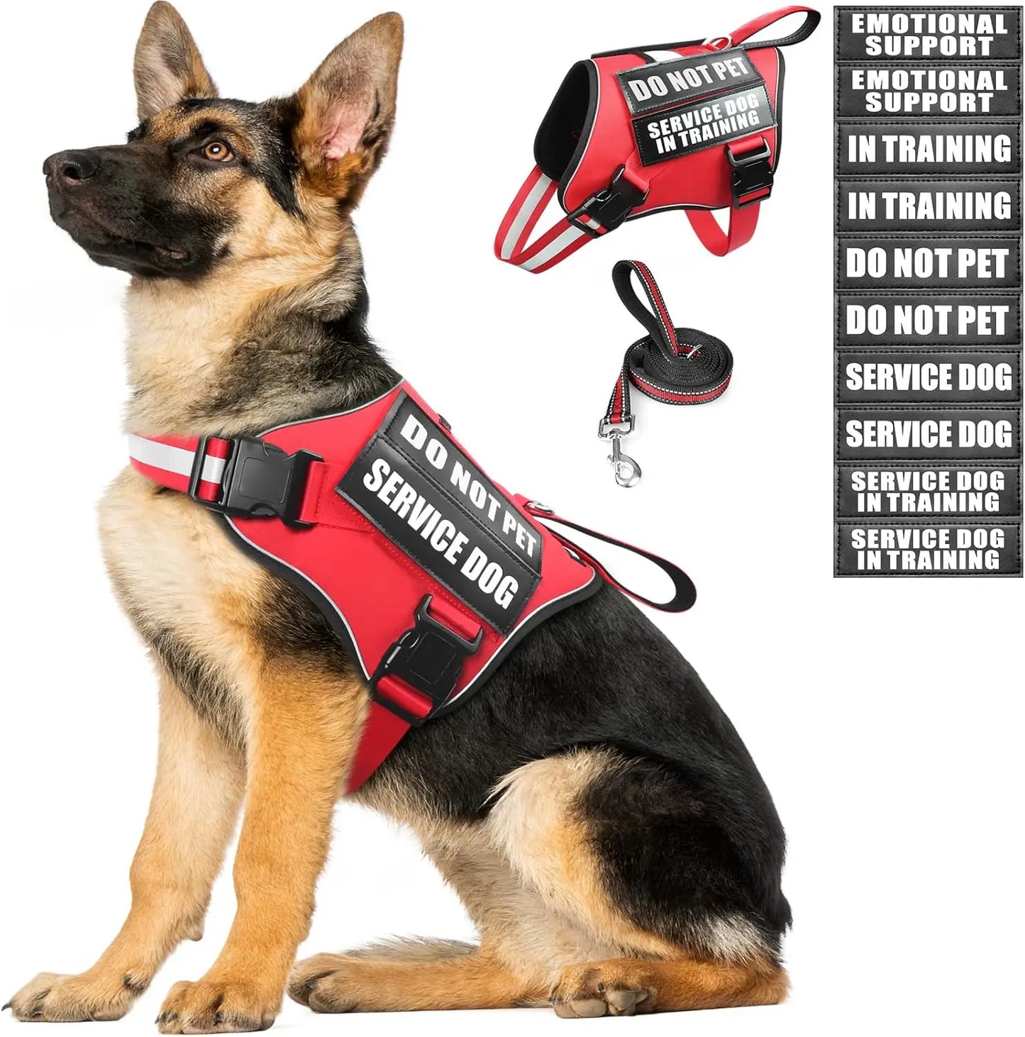 Adjustable No Pull Dog Harness With Leash Patches Reflective Padded Handle