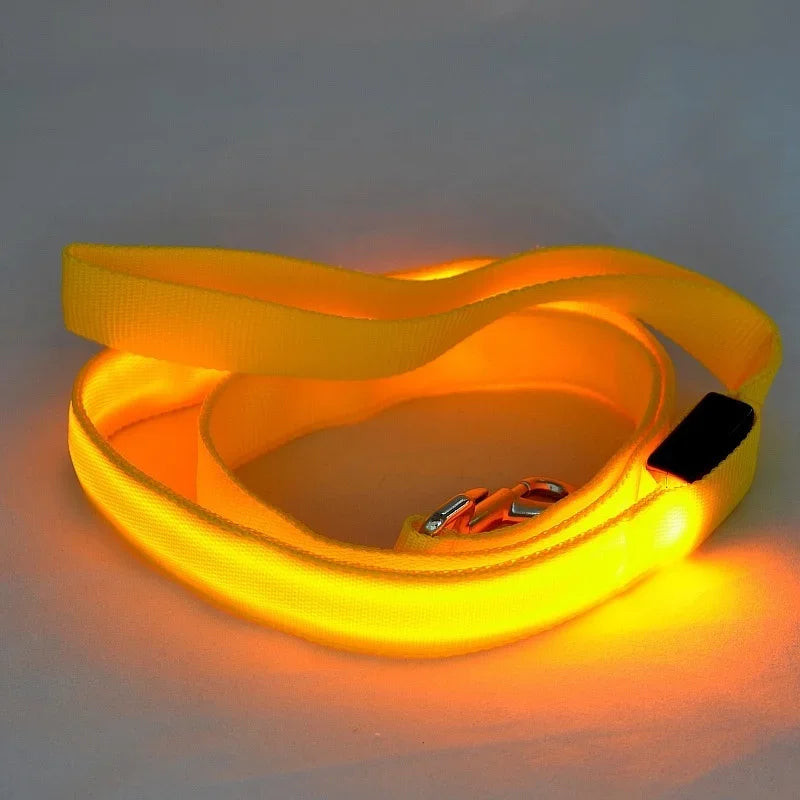 NONECN LED Light Up Dog Leash Luminous Rope For Safety