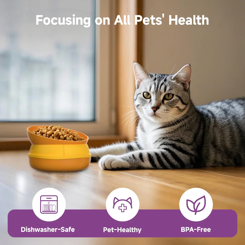 Pet Bowls Elevated 5 In 1 Slow Feeder Set for Dogs and Cats