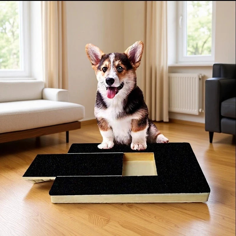 A Deck for Grinding Pet Paws; a Scratching Board for Dog for Nails That Includes a Snack Compartment And a Drawer - a Large Boar
