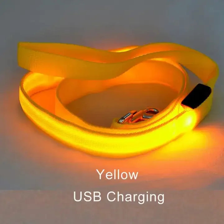 NONECN LED Light Up Dog Leash Luminous Rope For Safety