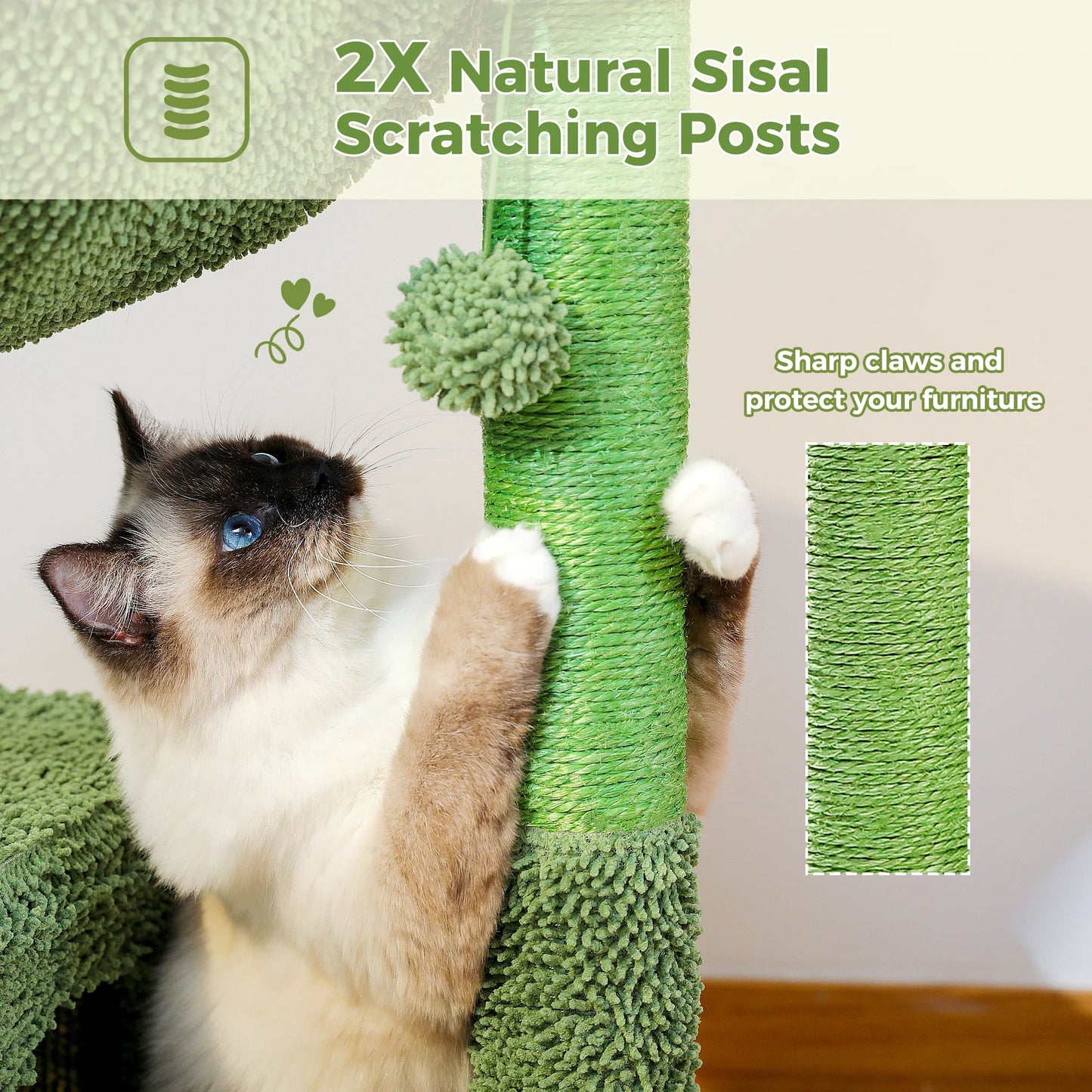 PEQULTI Cactus Cat Tree Condo Hammock Indoor Playground