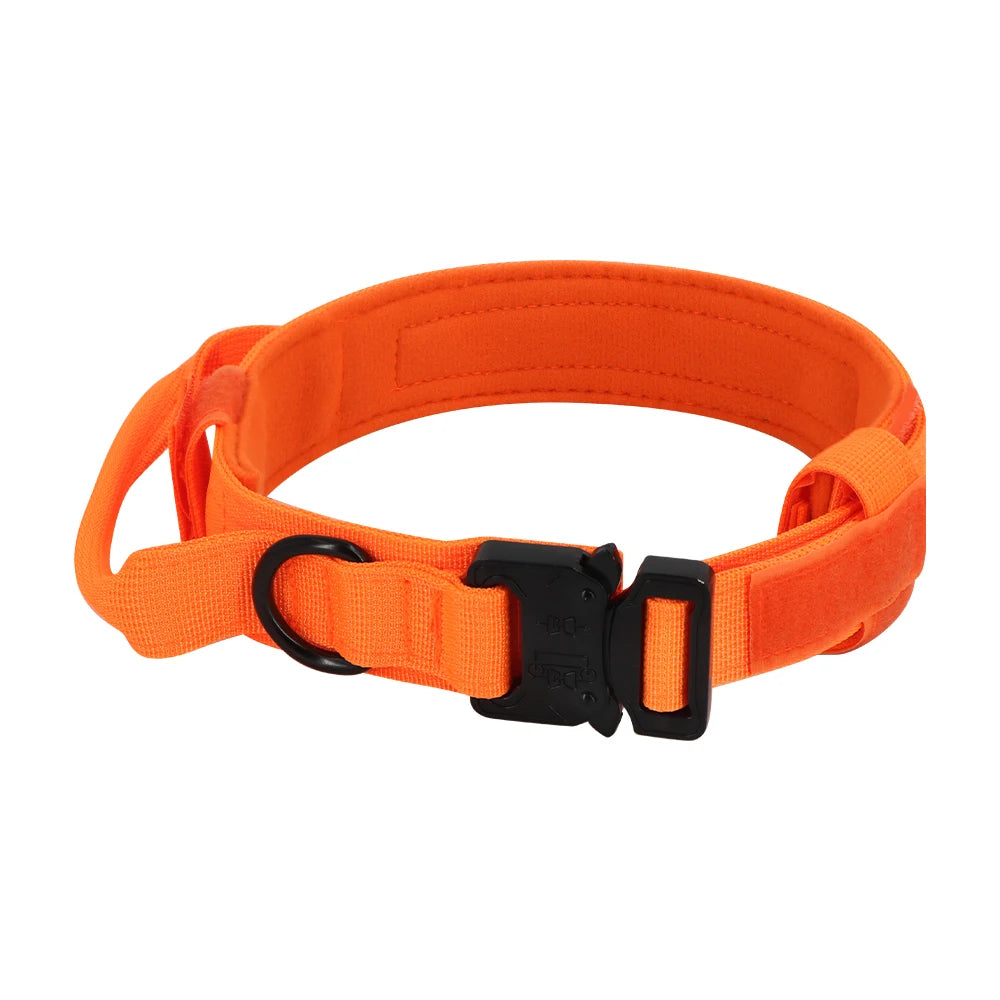 PETRAVEL CN Dog Training Collar Adjustable Tactical Leash Set
