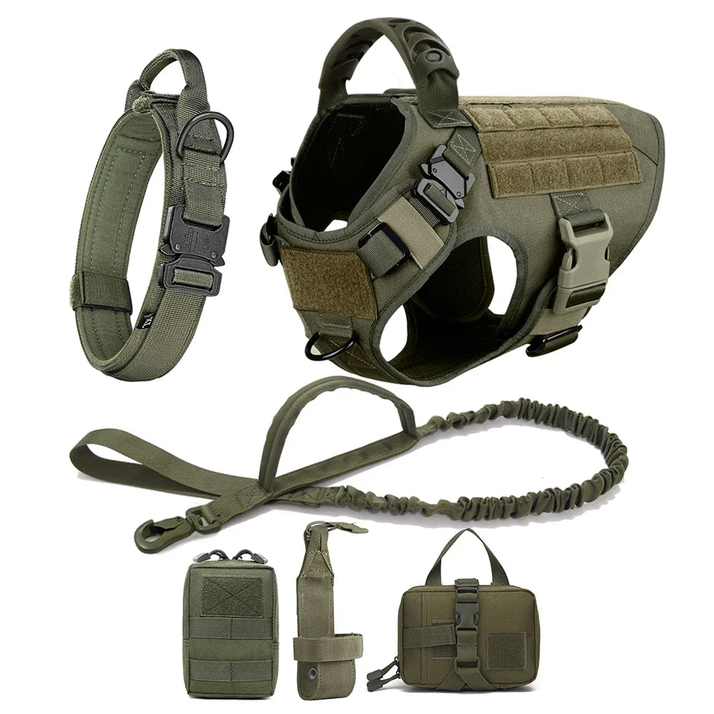 Nylon Dog Harness And Leash Set Vest Harness For Training