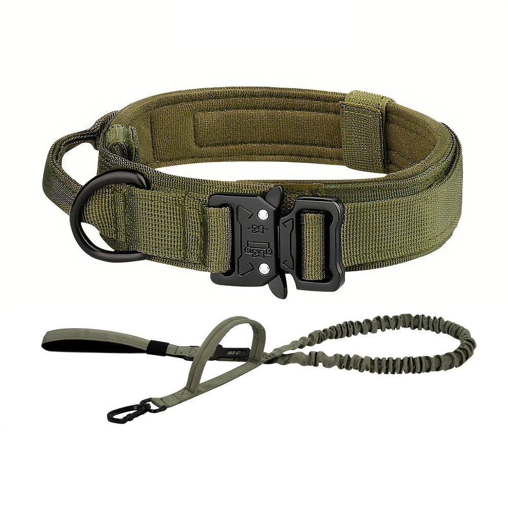PETRAVEL CN Dog Training Collar Adjustable Tactical Leash Set