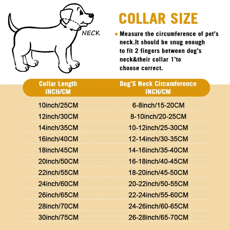 Stainless Steel Chain Dog Collar For Training And Walking