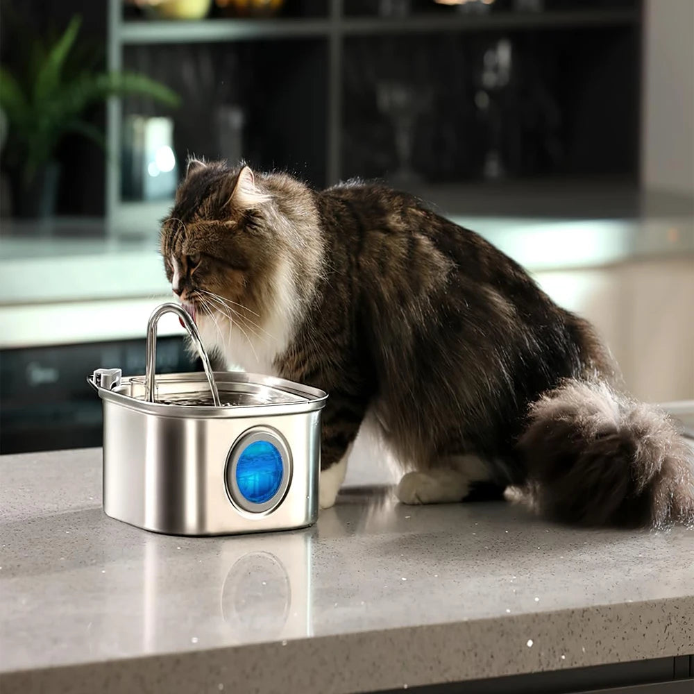 Stainless Steel Pet Water Feeder With Visual Window Dispenser
