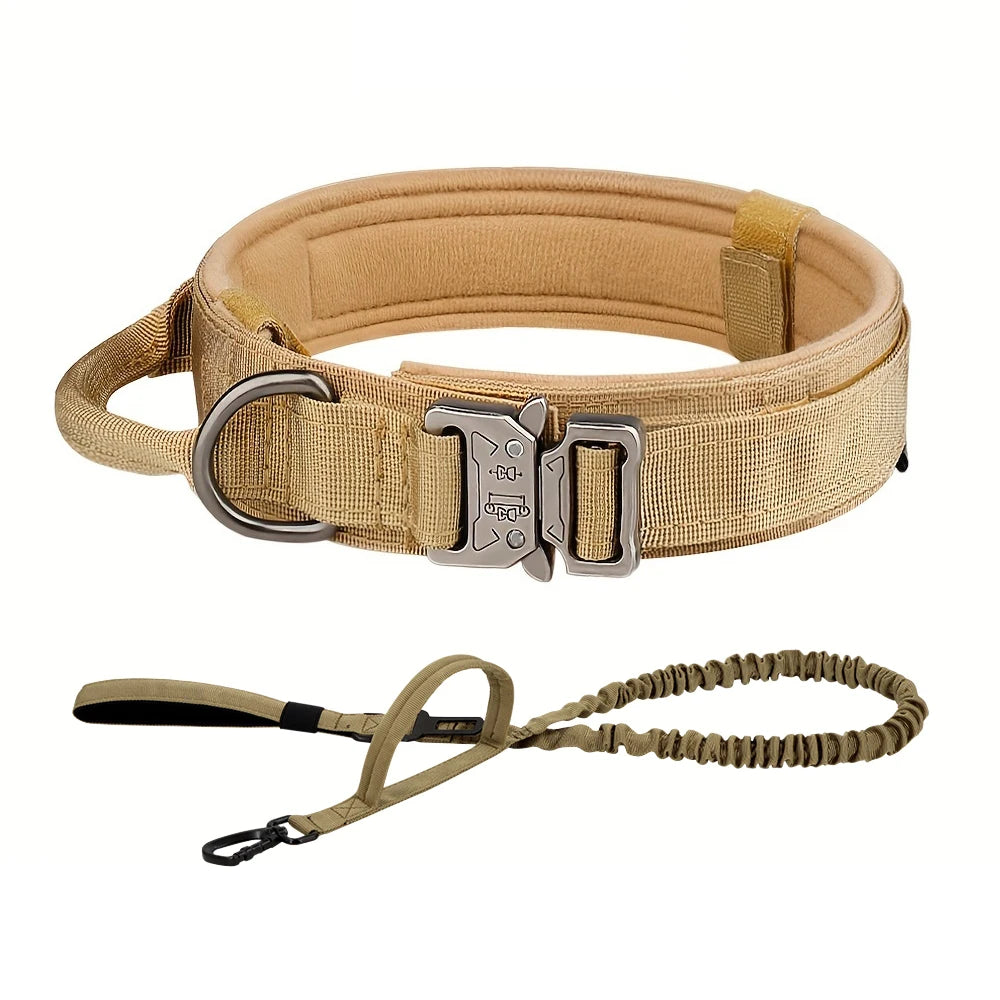PETRAVEL CN Dog Training Collar Adjustable Tactical Leash Set