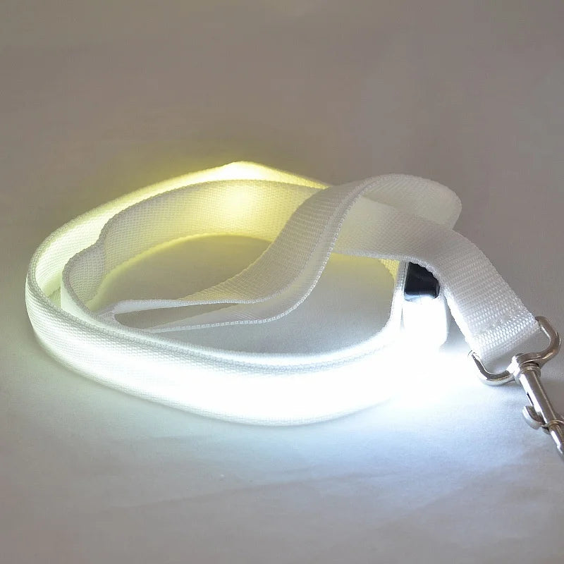 NONECN LED Light Up Dog Leash Luminous Rope For Safety