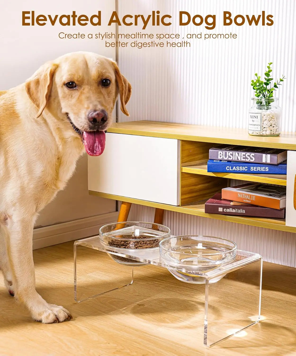 Elevated Pet Feeder Stand with Removable Stainless Steel and Glass Bowls, Perfect for Large Dogs