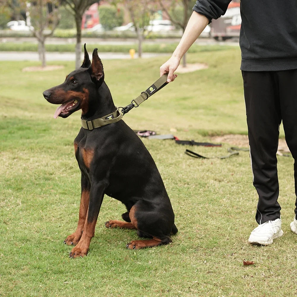 Heavy Duty Nylon Dog Leash Traffic Padded Handle For Training