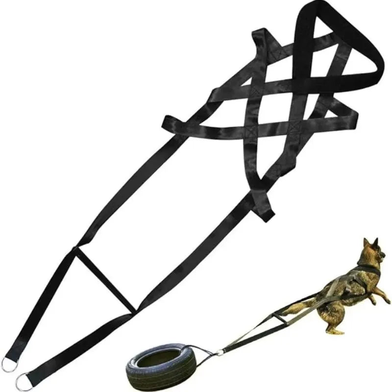 Working Dog Training Leash Sled Safety Belt For Behavior Training