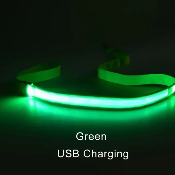 NONECN LED Light Up Dog Leash Luminous Rope For Safety