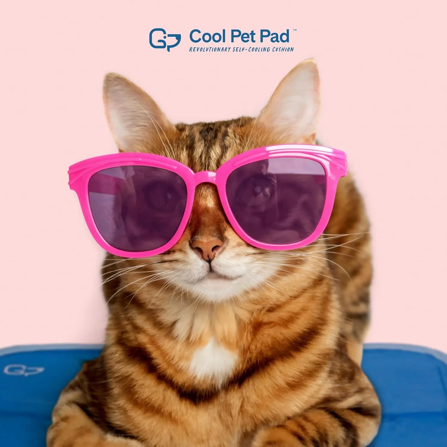Self Cooling Pet Mat With Pressure Activated Gel Pad For Dogs And Cats