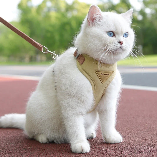 XLeiPet Cozy Soft Cat Harness And Leash Set