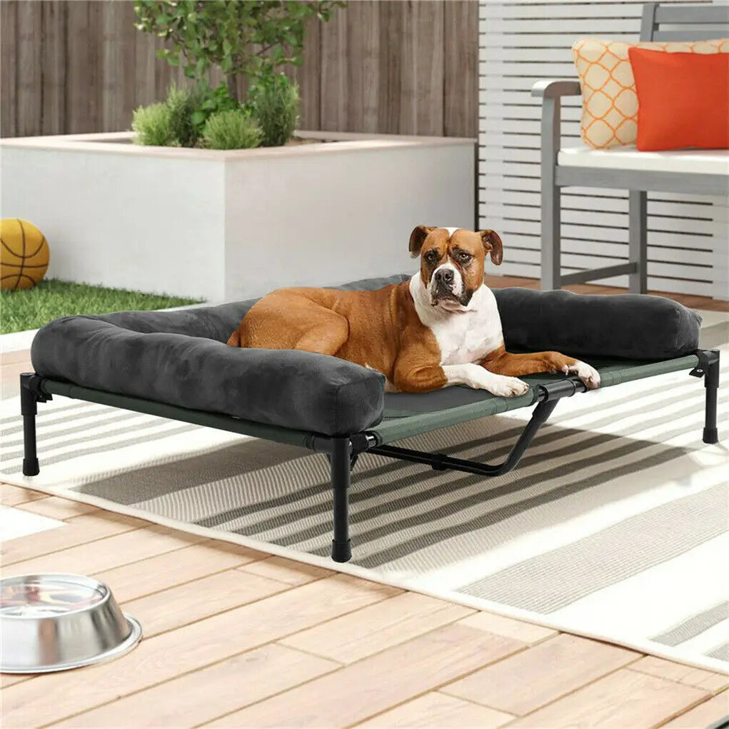 BINGOPAW Elevated Pet Lounger Bed With Detachable Plush Bolster