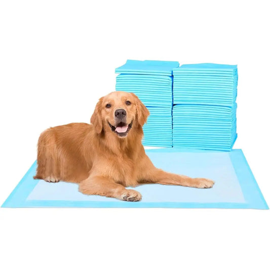 Super Absorbent Waterproof Dog Training Pad For Housebreaking Five Layer