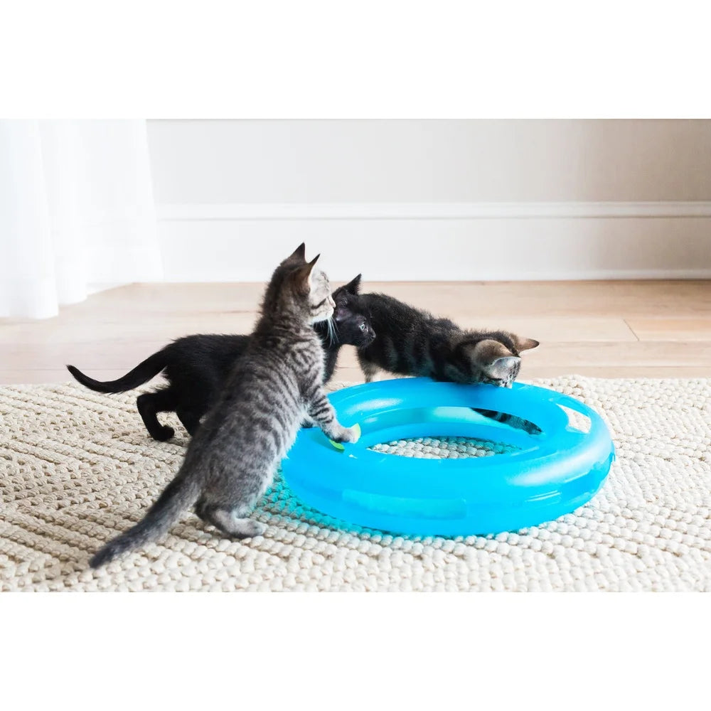 Crazy Circle Cat Toy Interactive Fun Exercise Boredom Buster Reloadable Catnip Ball Durable Lightweight Design Portable Washable
