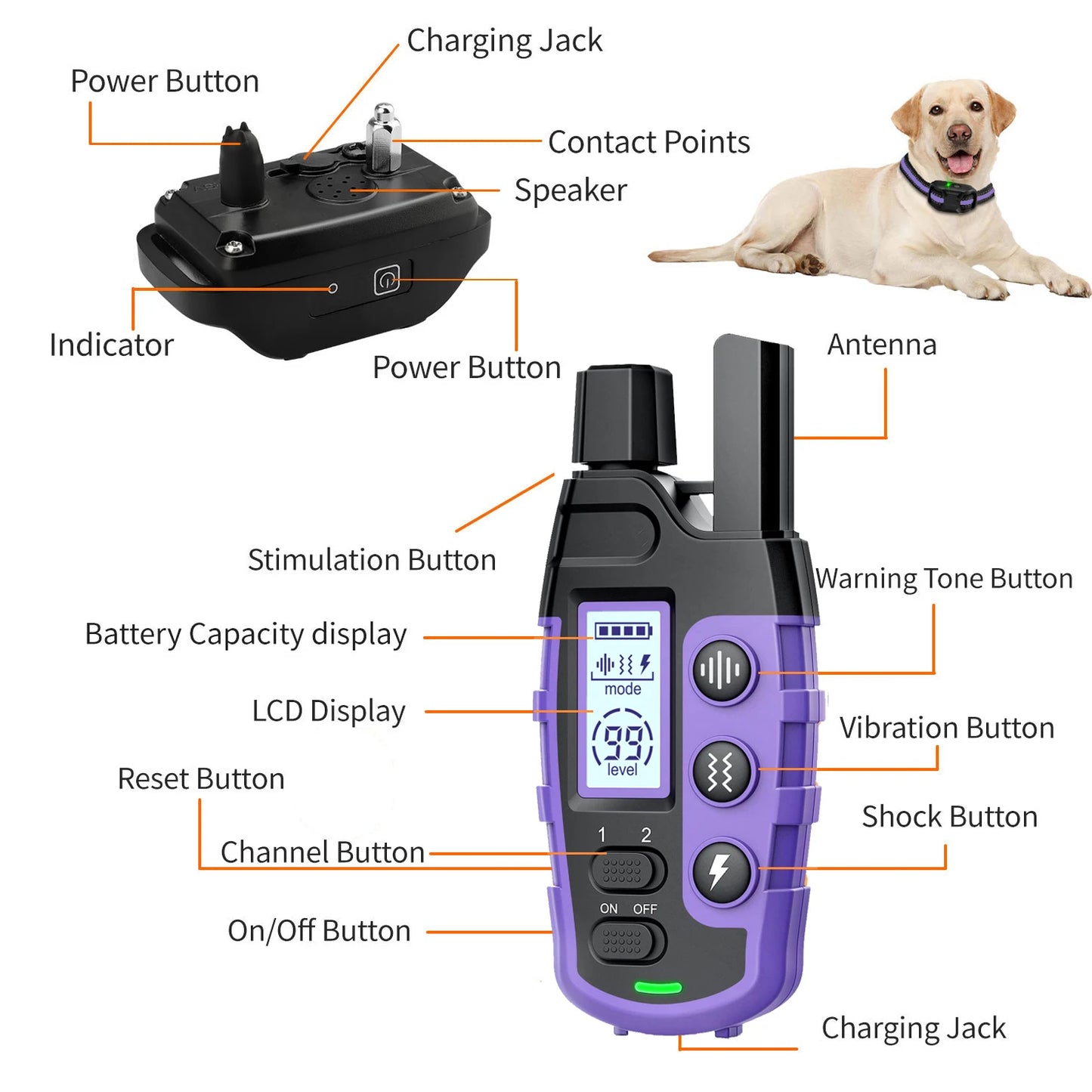 WXRPET Dog Training Collar Remote Control Waterproof Beep Vibration