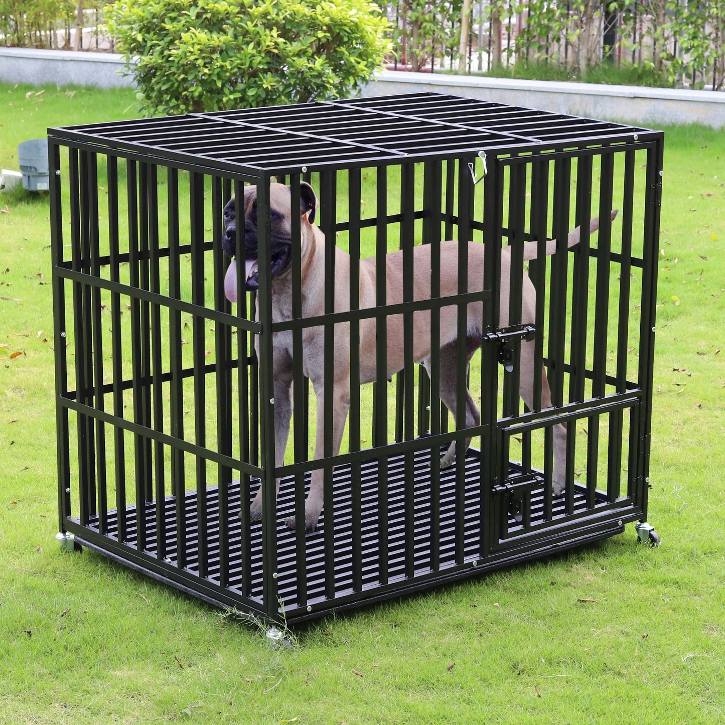 Bingopaw Heavy Duty Dog Cage Crate With Doors Wheels Tray