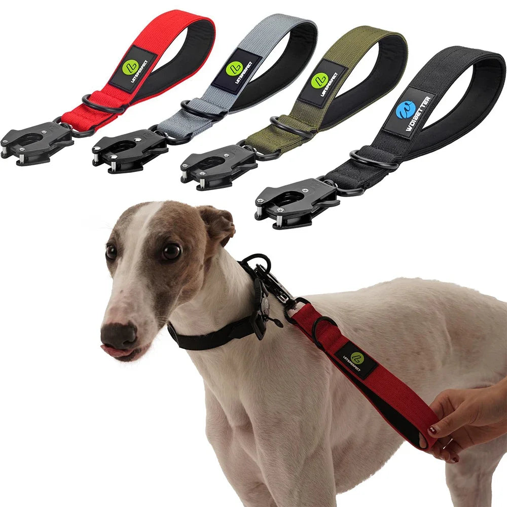 Heavy Duty Nylon Dog Leash Traffic Padded Handle For Training
