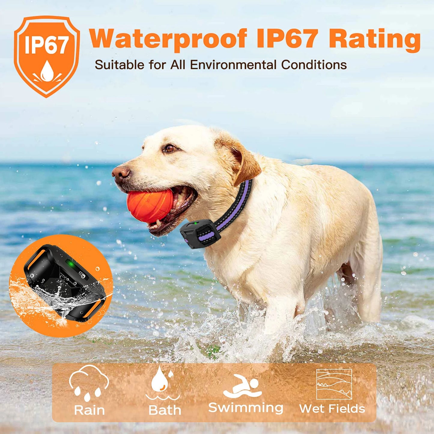 WXRPET Dog Training Collar Remote Control Waterproof Beep Vibration