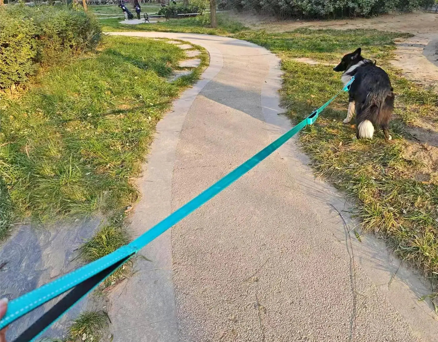 10FT Triple Handle Dog Leash with Reflective Stitching, Padded Traffic Handles for Control and Safety