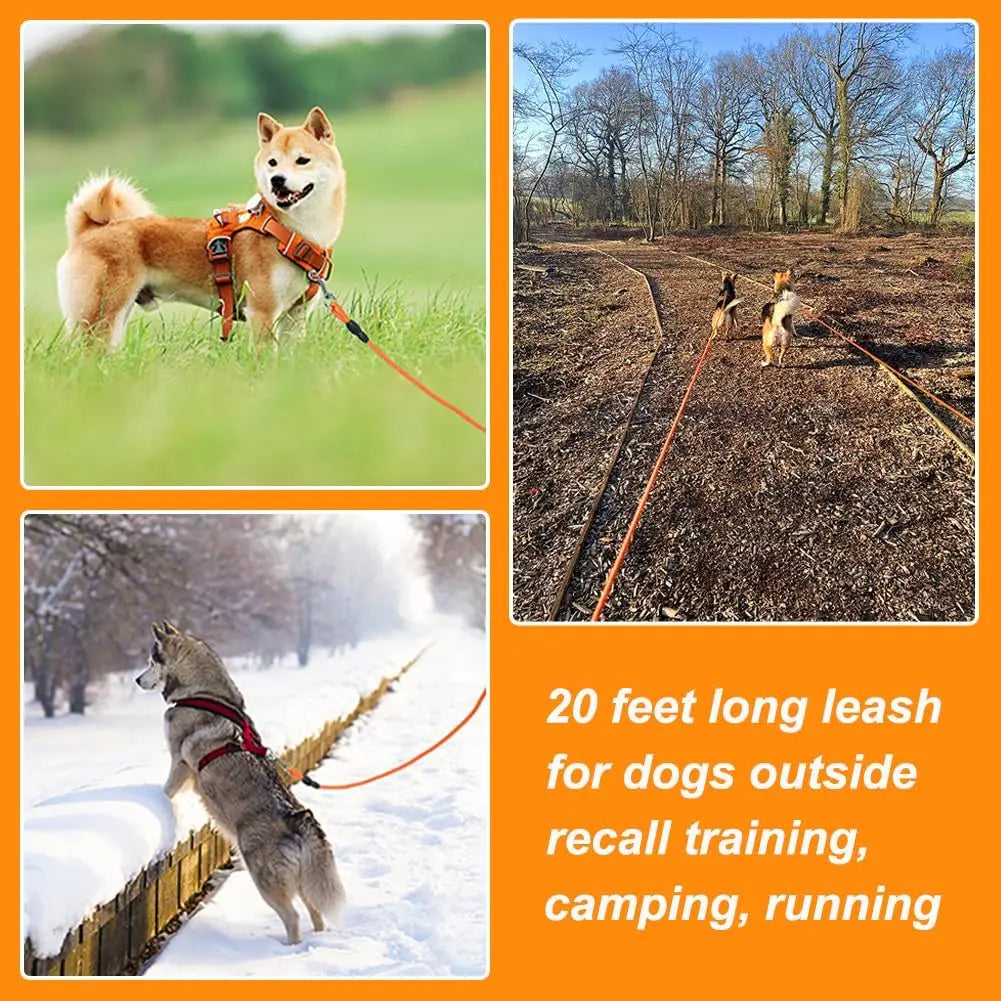 20FT Floating Dog Leash for Training, Lightweight with Comfortable Handle - Ideal for Hiking, Swimming, Beach & Lake