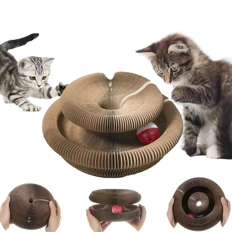 Interactive Cat Toy Ball Set For Kitten Training And Fun