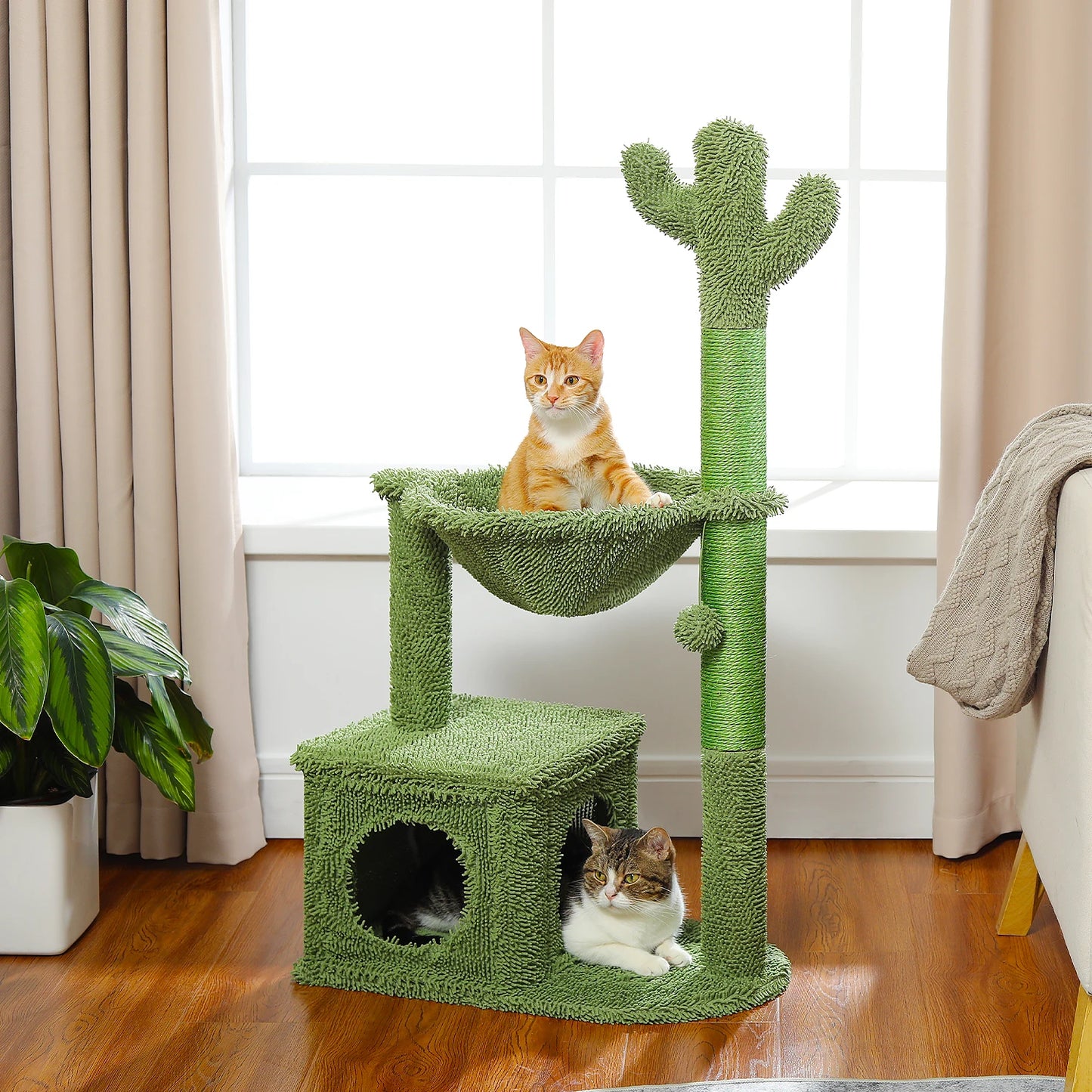 PEQULTI Cactus Cat Tree Condo Hammock Indoor Playground