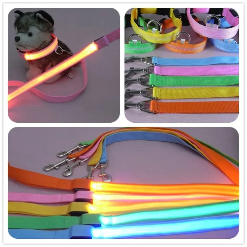 NONECN LED Light Up Dog Leash Luminous Rope For Safety