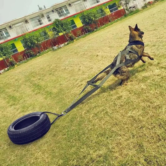Working Dog Training Leash Sled Safety Belt For Behavior Training
