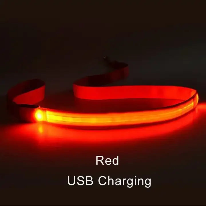 NONECN LED Light Up Dog Leash Luminous Rope For Safety