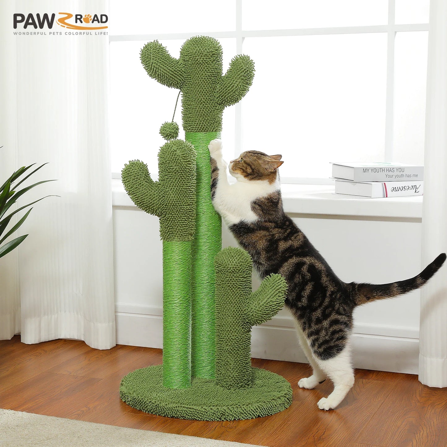 PEQULTI Cactus Cat Tree Condo Hammock Indoor Playground