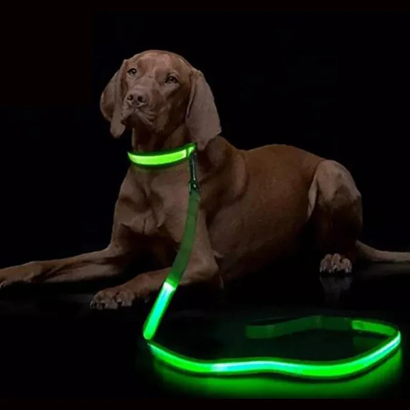 NONECN LED Light Up Dog Leash Luminous Rope For Safety