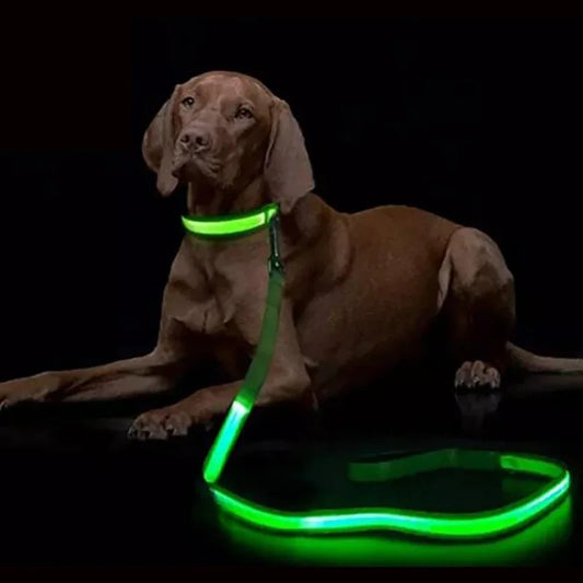 NONECN LED Light Up Dog Leash Luminous Rope For Safety