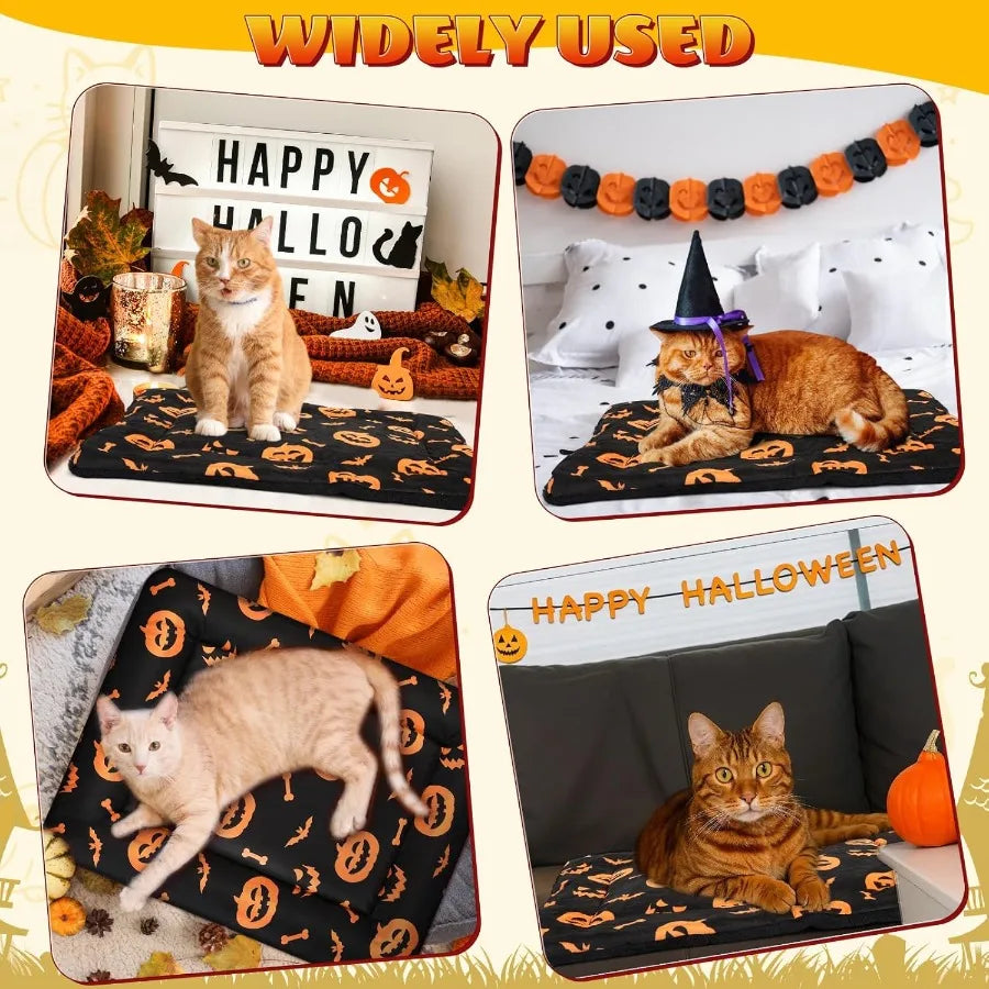 2 Pack Halloween Self Warming Cat Bed with Reversible Soft Plush Design for Indoor Cats and Small Dogs Self Heating Cozy Pumpki