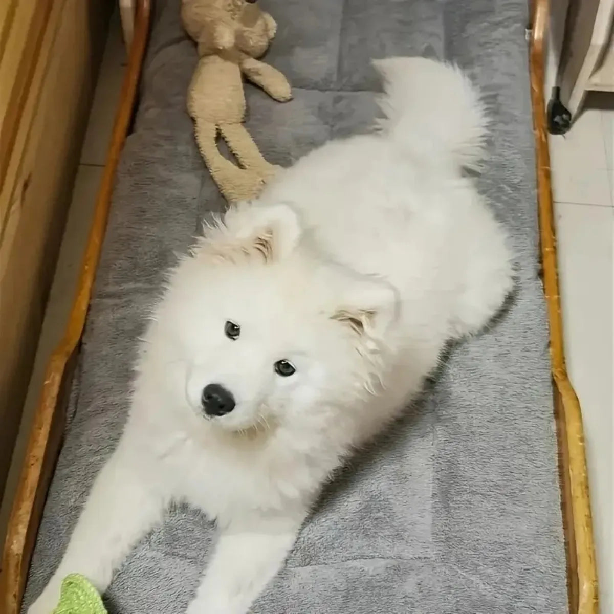 Extra Large Plush Dog Bed Sofa - Thickened Winter Warm Pet Mat for Medium Large Dogs & Cats - Super Soft Polyester Dog Crate Bed