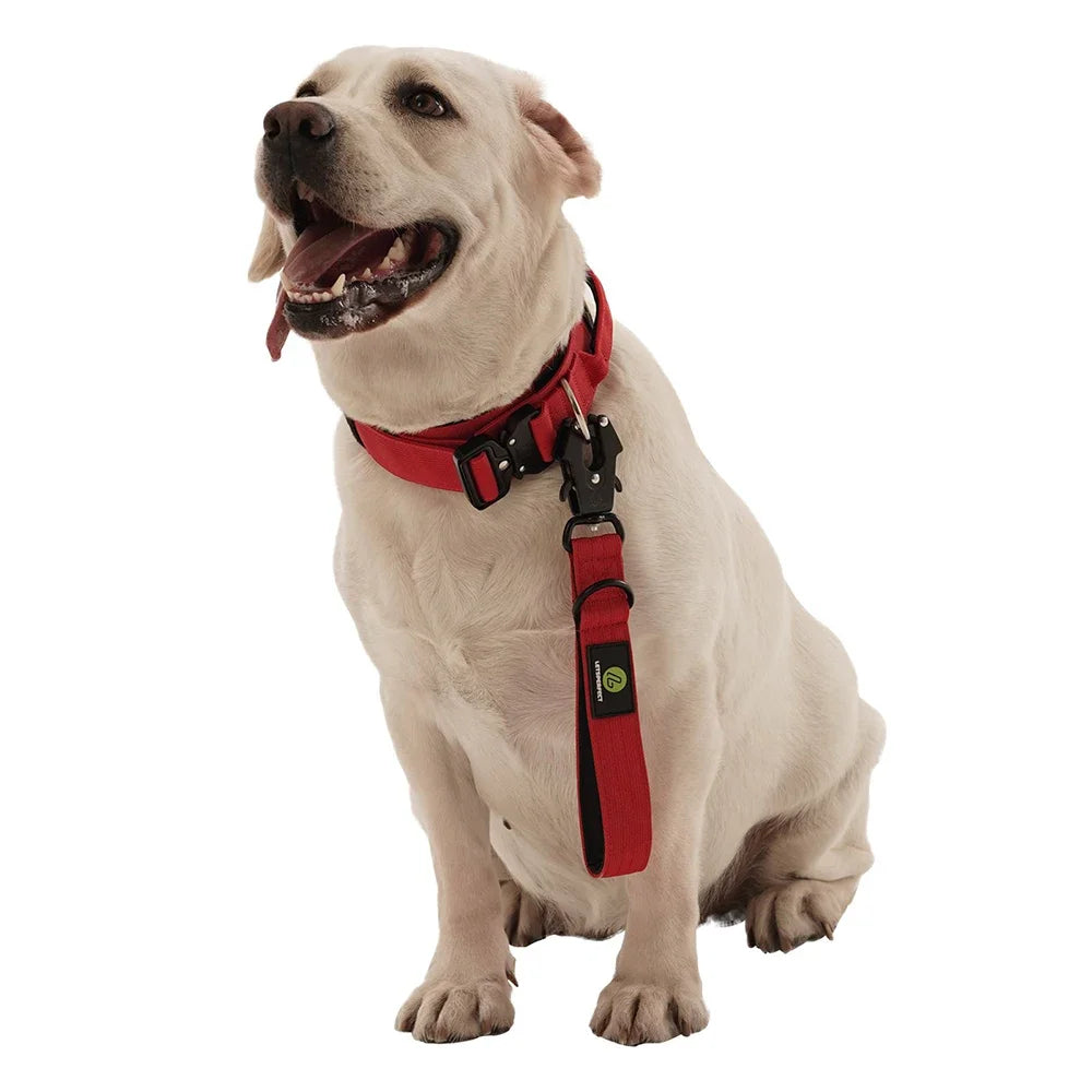 Heavy Duty Nylon Dog Leash Traffic Padded Handle For Training